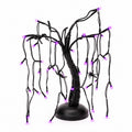 Spooky Willow Tree