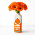Orange Juice Vase